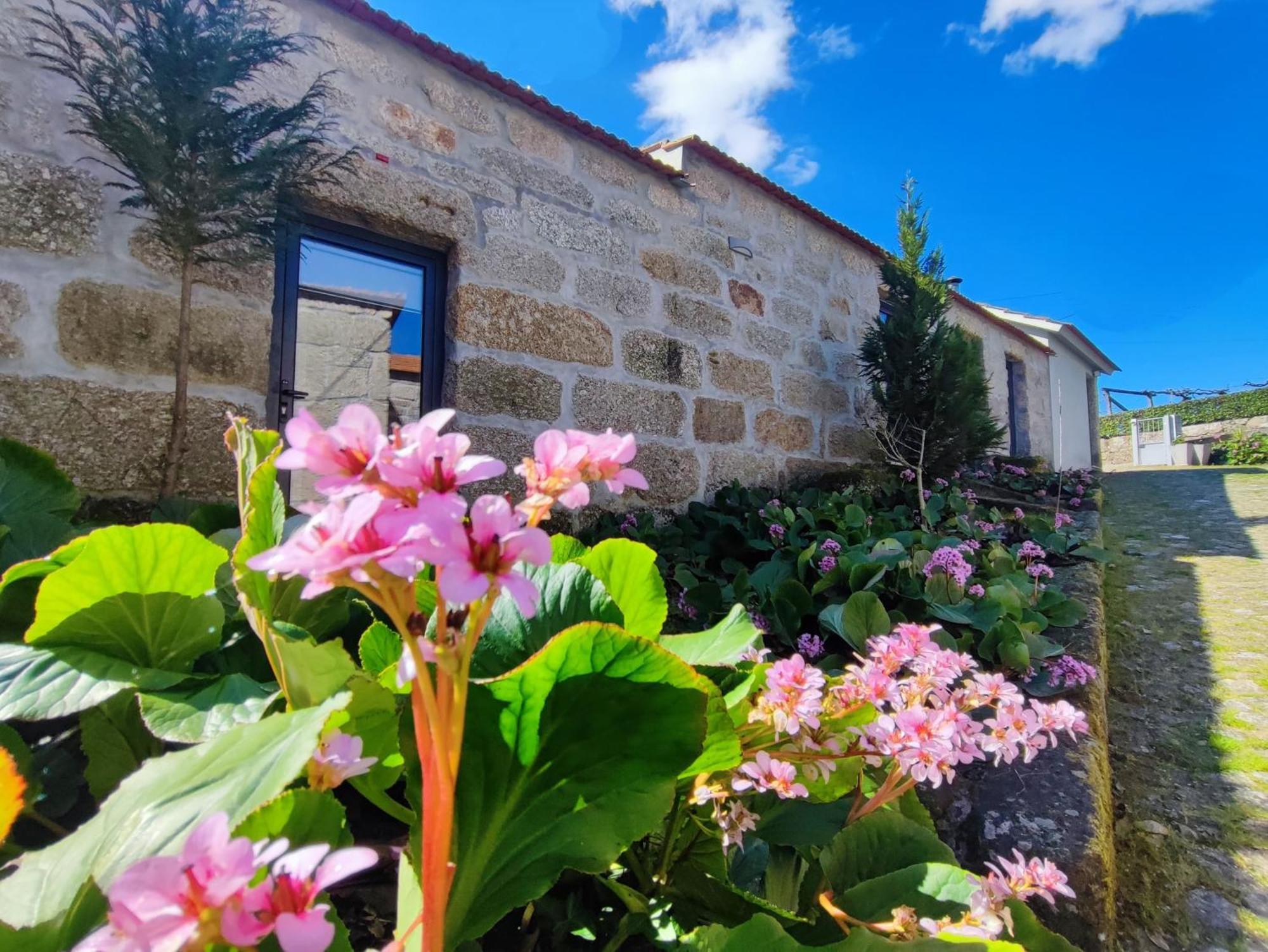 Agroturismo Quinta De Travancela Amarante Extérieur photo