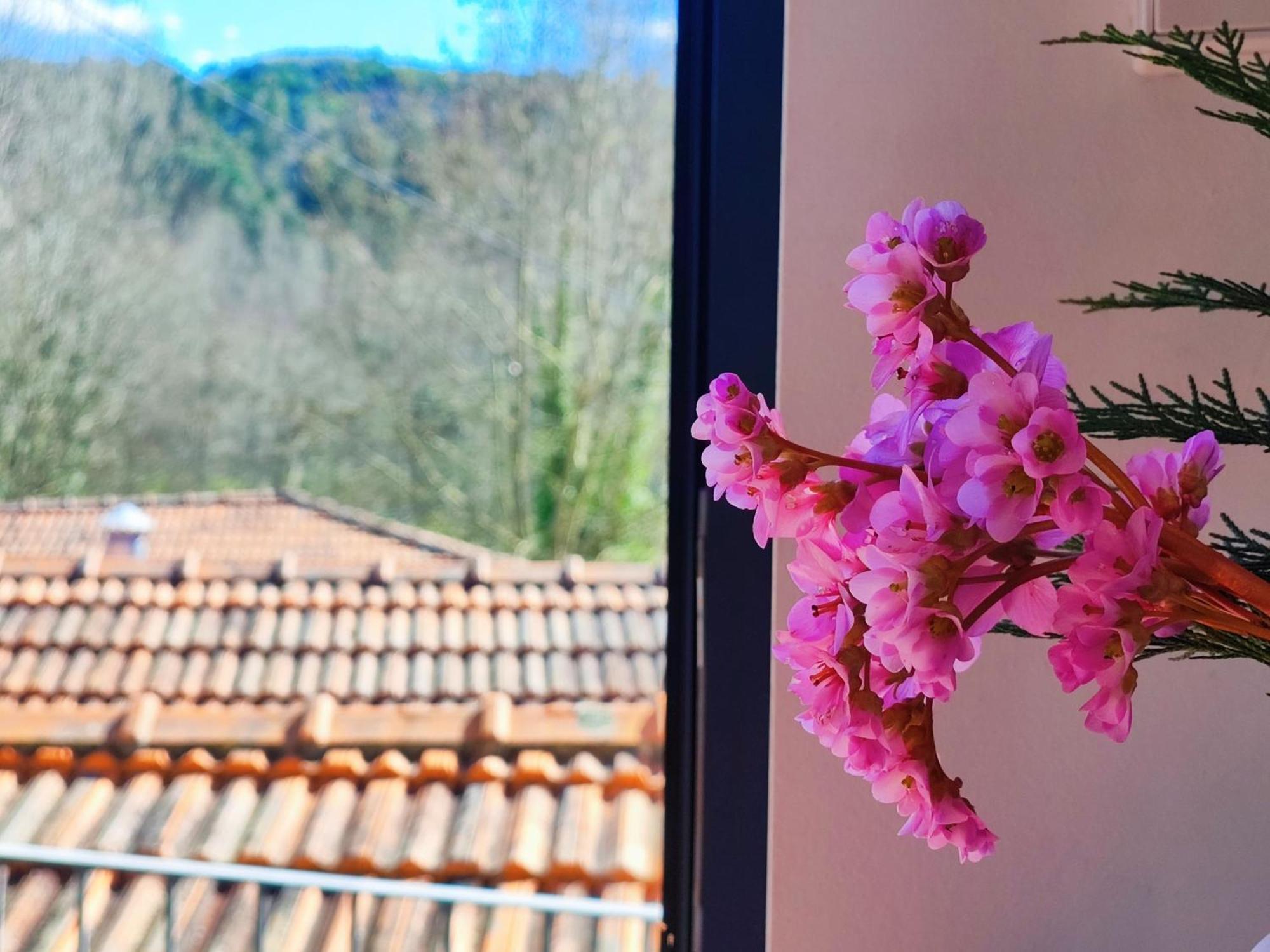 Agroturismo Quinta De Travancela Amarante Extérieur photo