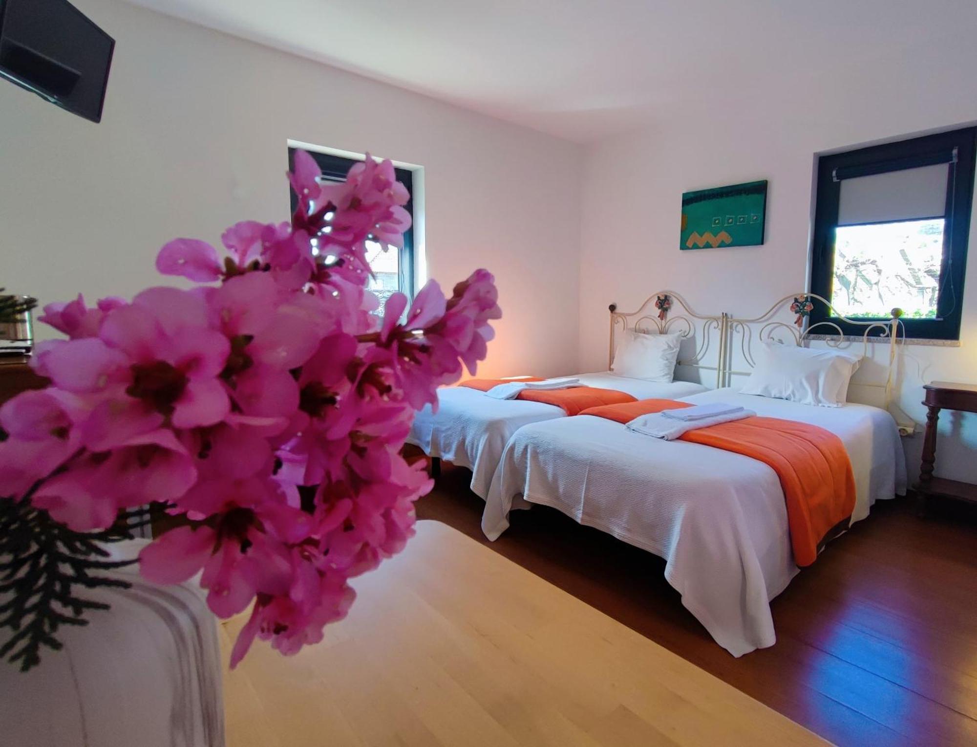 Agroturismo Quinta De Travancela Amarante Extérieur photo