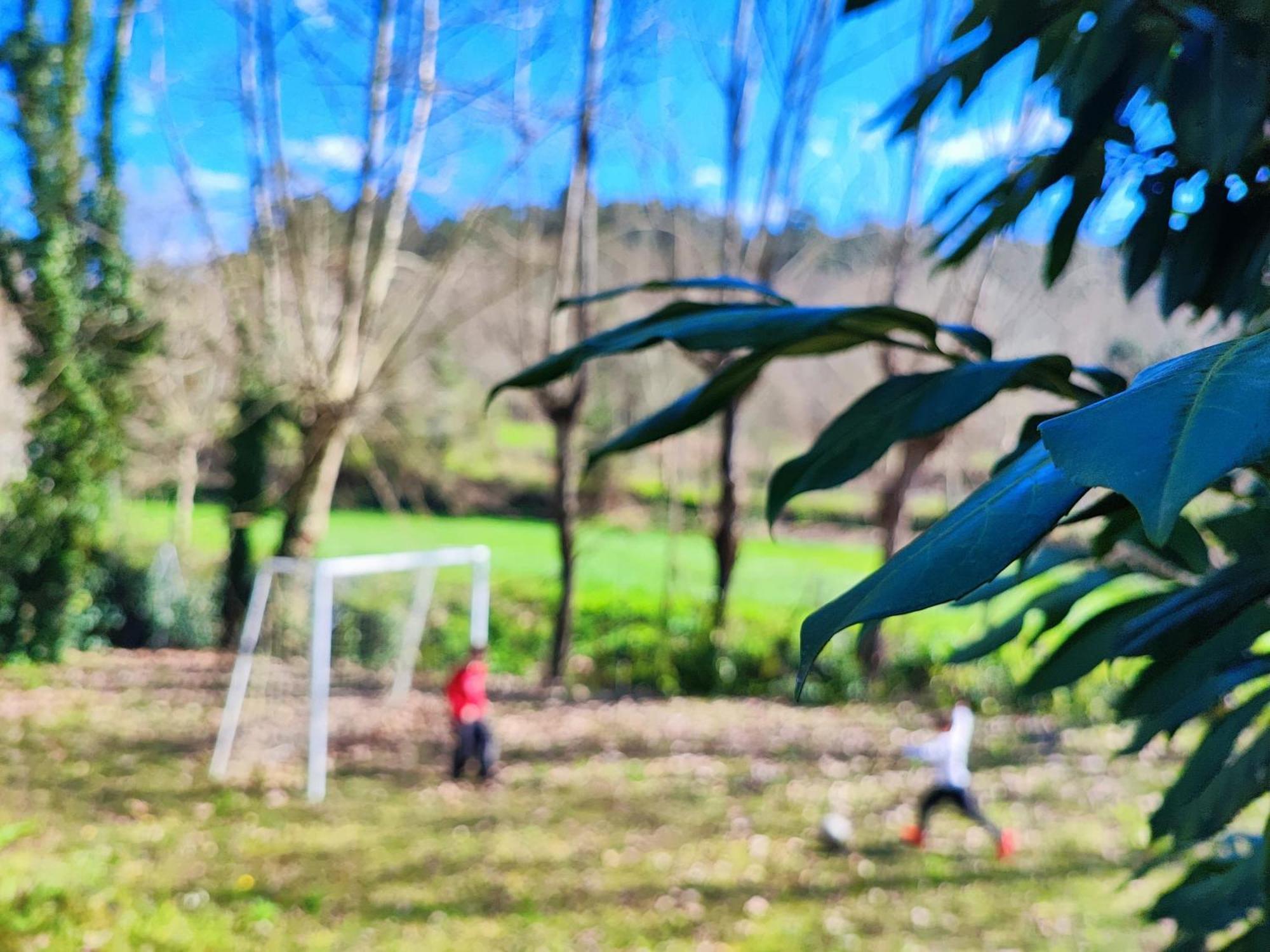Agroturismo Quinta De Travancela Amarante Extérieur photo