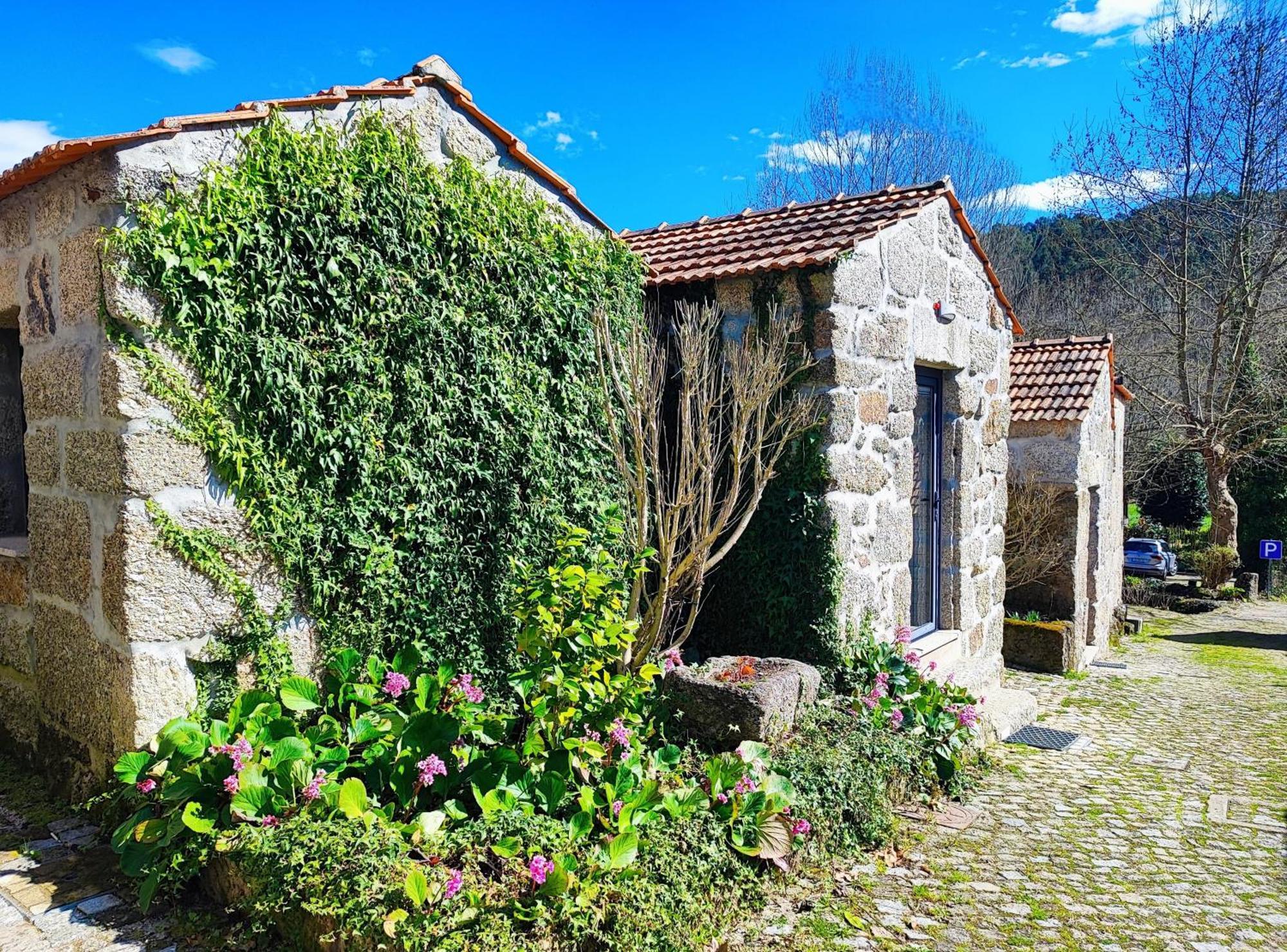 Agroturismo Quinta De Travancela Amarante Extérieur photo