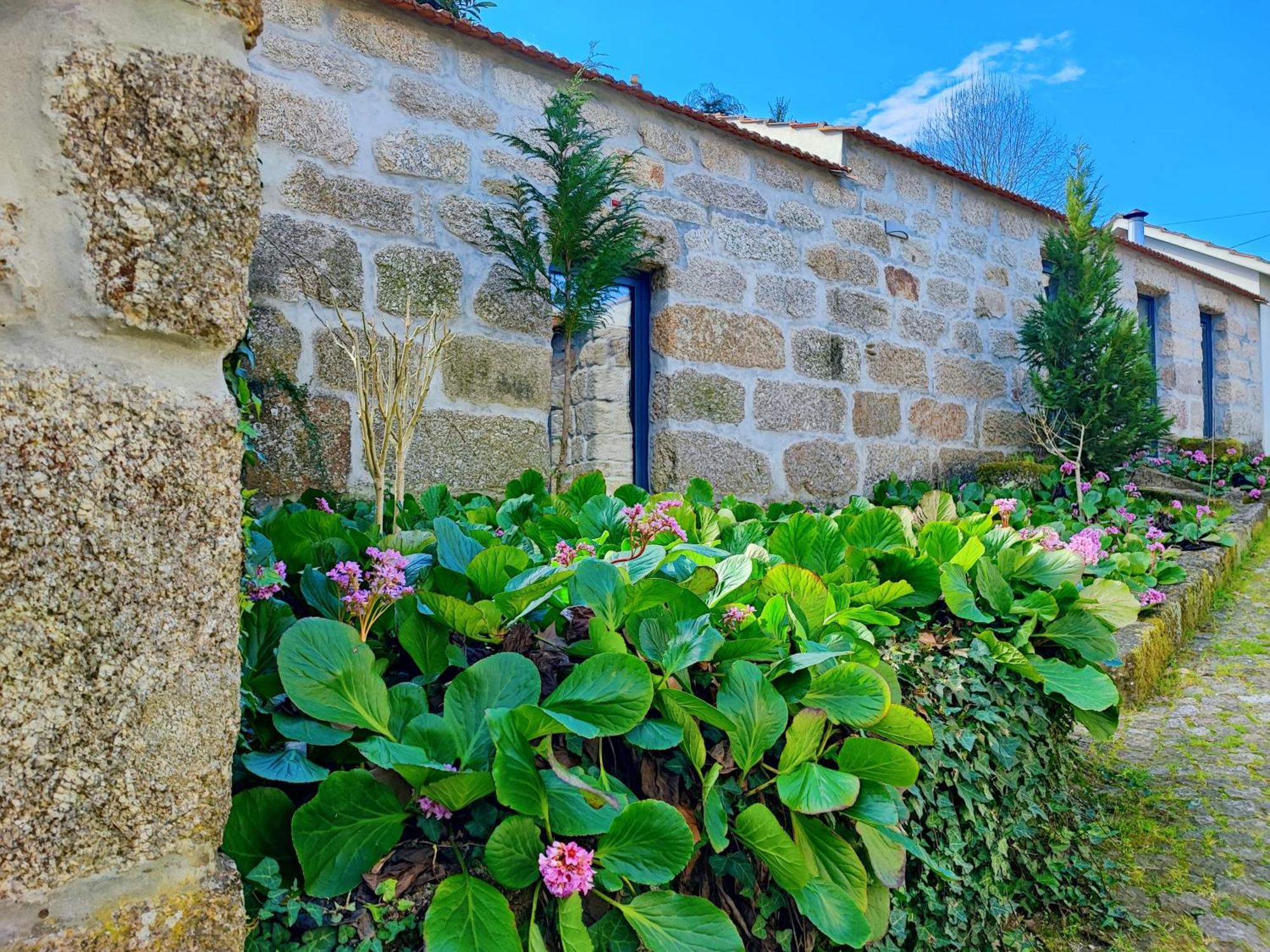 Agroturismo Quinta De Travancela Amarante Extérieur photo